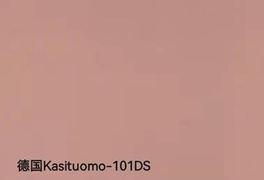 德国Kasituomo-101DS