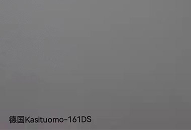 德国Kasituomo-161DS