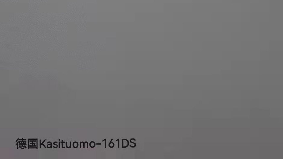 德国Kasituomo-161DS-0