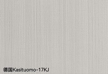 德国Kasituomo-17KJ
