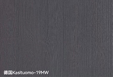 德国Kasituomo-19MW