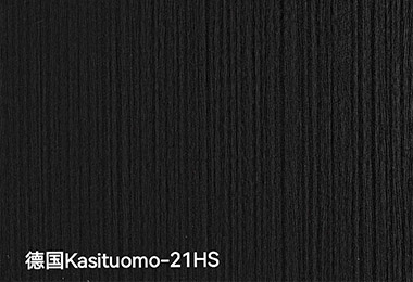德国Kasituomo-21HS