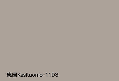 德国Kasituomo-11DS